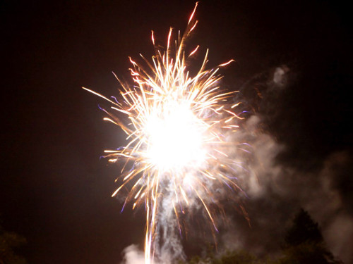 Saale in Flammen Lichterzauber und Feuerwerk – Foto 38