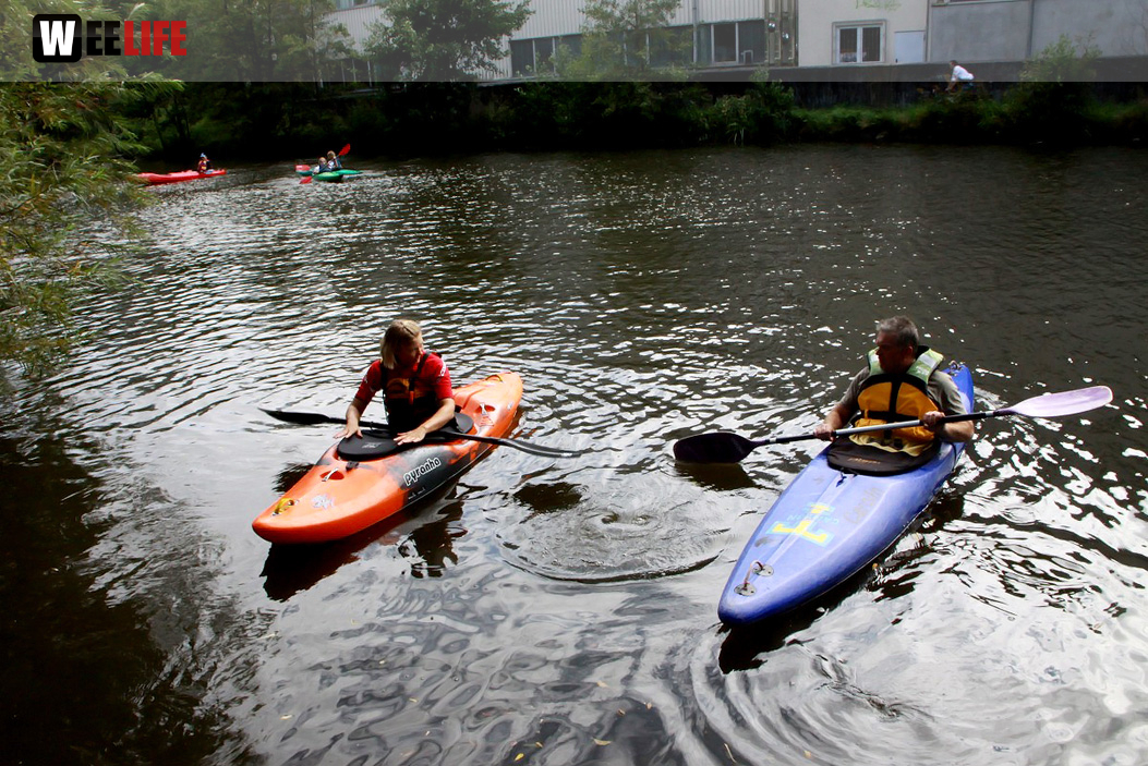 Sommerfest Naturfreunde Hof