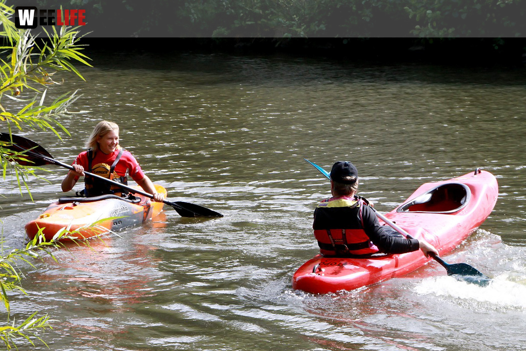 Sommerfest Naturfreunde Hof