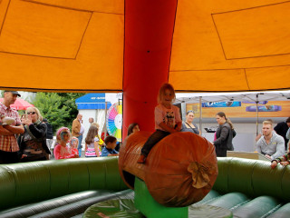 Foto 102524 im Album