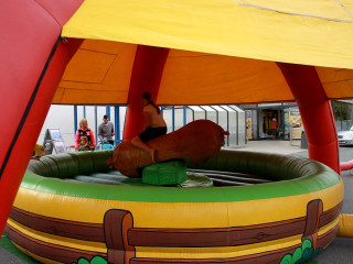 Foto 102554 im Album