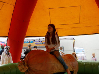 Foto 102561 im Album