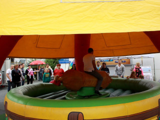 Foto 102590 im Album