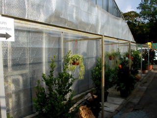 Foto 103139 im Album