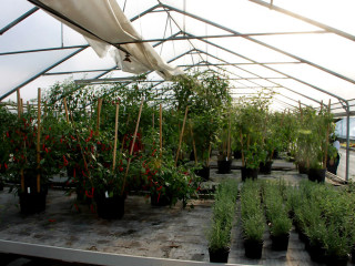 Foto 103143 im Album