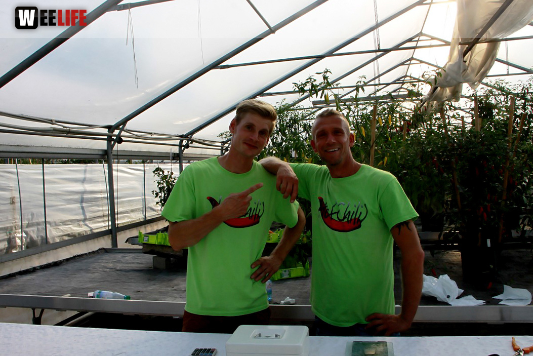 4. Hofer Chillifest