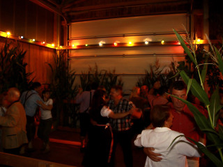Foto 103880 im Album