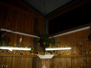 Foto 103885 im Album