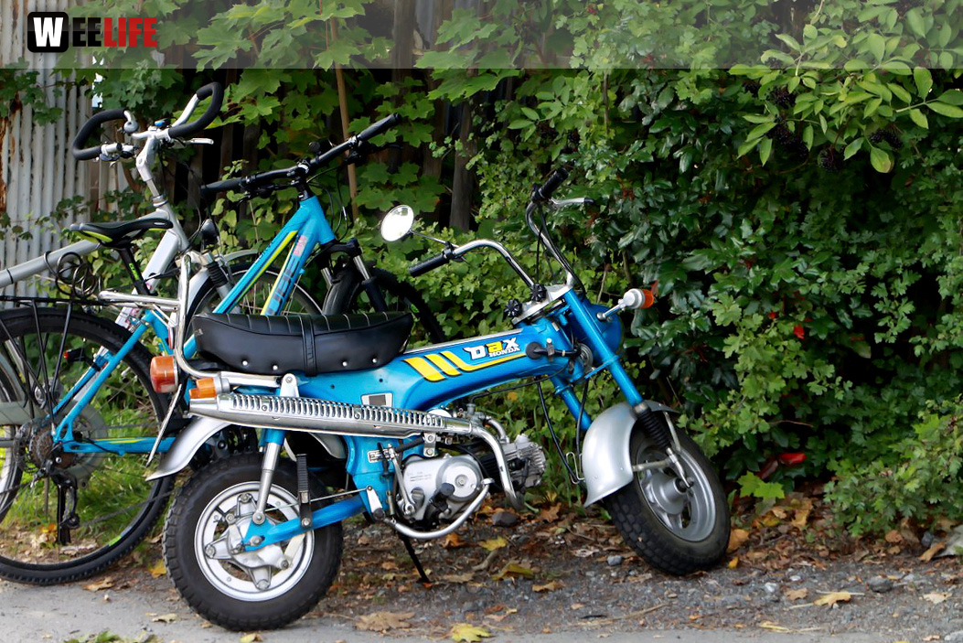 2. Hopfenzupferfest & Oldtimertreffen