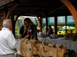 Foto 104674 im Album