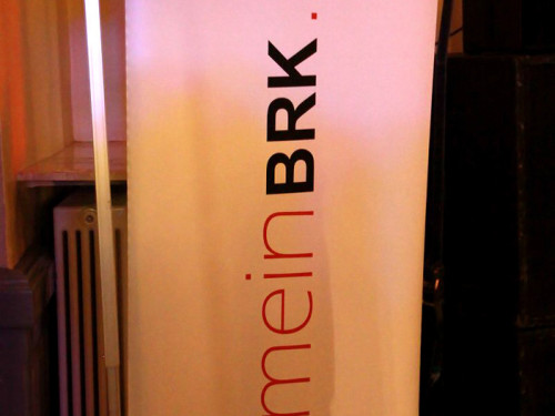 RBK Jubiläums Rock Konzert Wee Bush – Foto 5