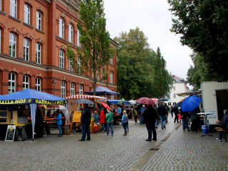 Foto 105695 im Album