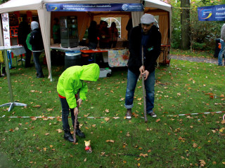 Foto 105713 im Album