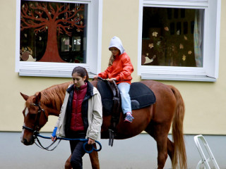 Foto 105719 im Album