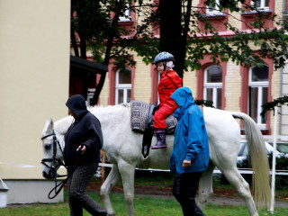 Foto 105720 im Album