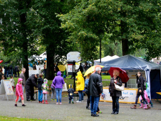 Foto 105747 im Album