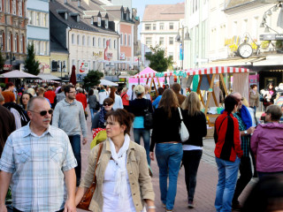Foto 105986 im Album