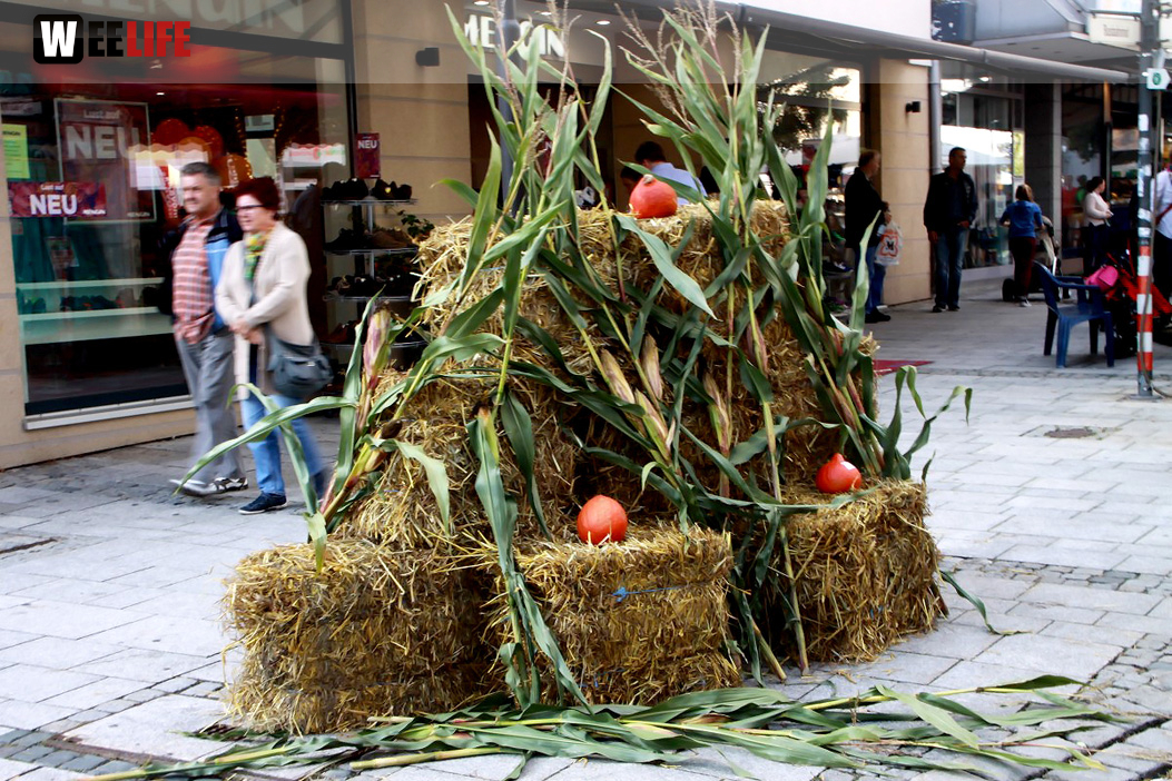 Herbstmarkt