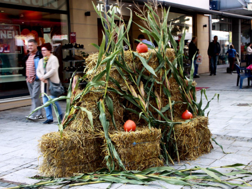 Herbstmarkt – Foto 17