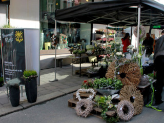 Foto 106027 im Album