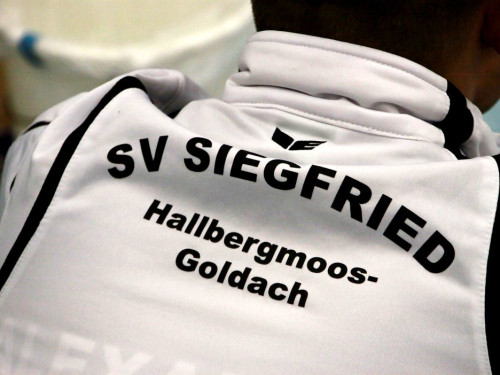Ringen ASV Hof gegen SV Siegfroed Halbergmoos – Foto 6