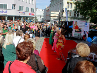 Foto 106765 im Album