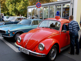 Vorschau des vorherigen Fotos