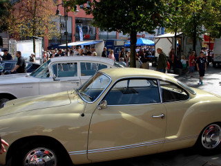 Foto 106807 im Album