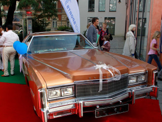 Foto 106814 im Album