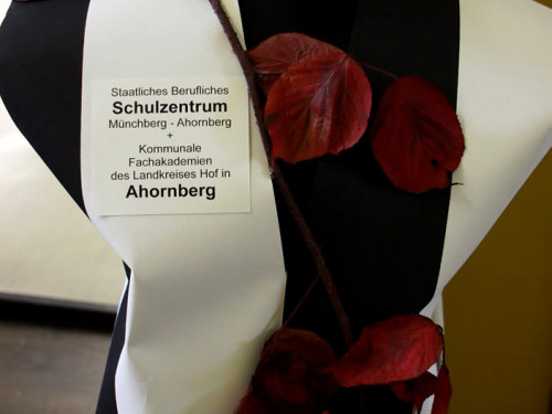 13. Hofer Ausbildungsmesse – Foto 27