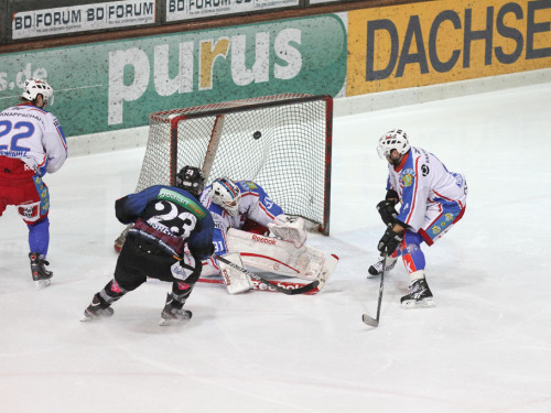 Selber Wölfe - EHC Dortmund – Foto 22