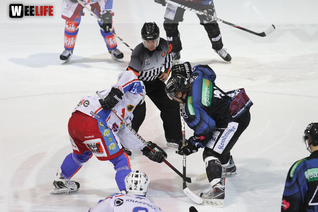 Selber Wölfe - EHC Dortmund