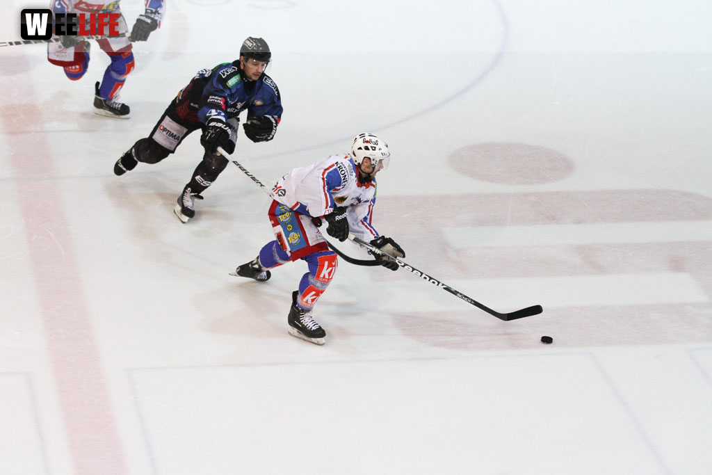 Selber Wölfe - EHC Dortmund