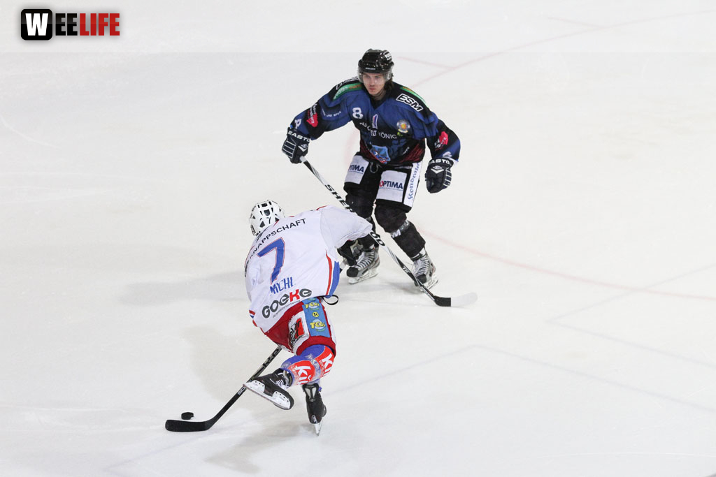 Selber Wölfe - EHC Dortmund
