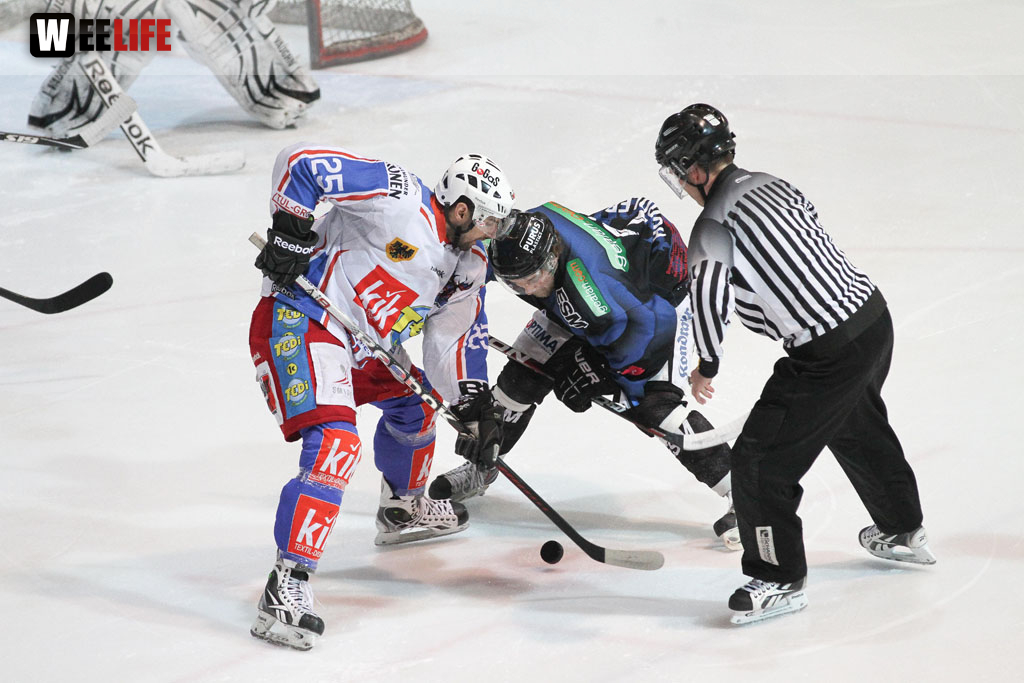 Selber Wölfe - EHC Dortmund