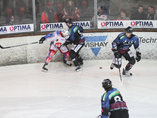 Selber Wölfe - EHC Dortmund – Foto 40