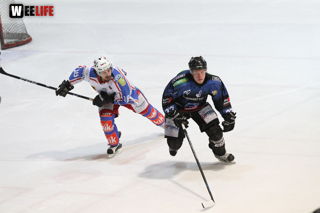 Selber Wölfe - EHC Dortmund