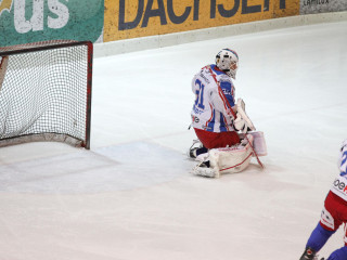 Foto 10831 im Album