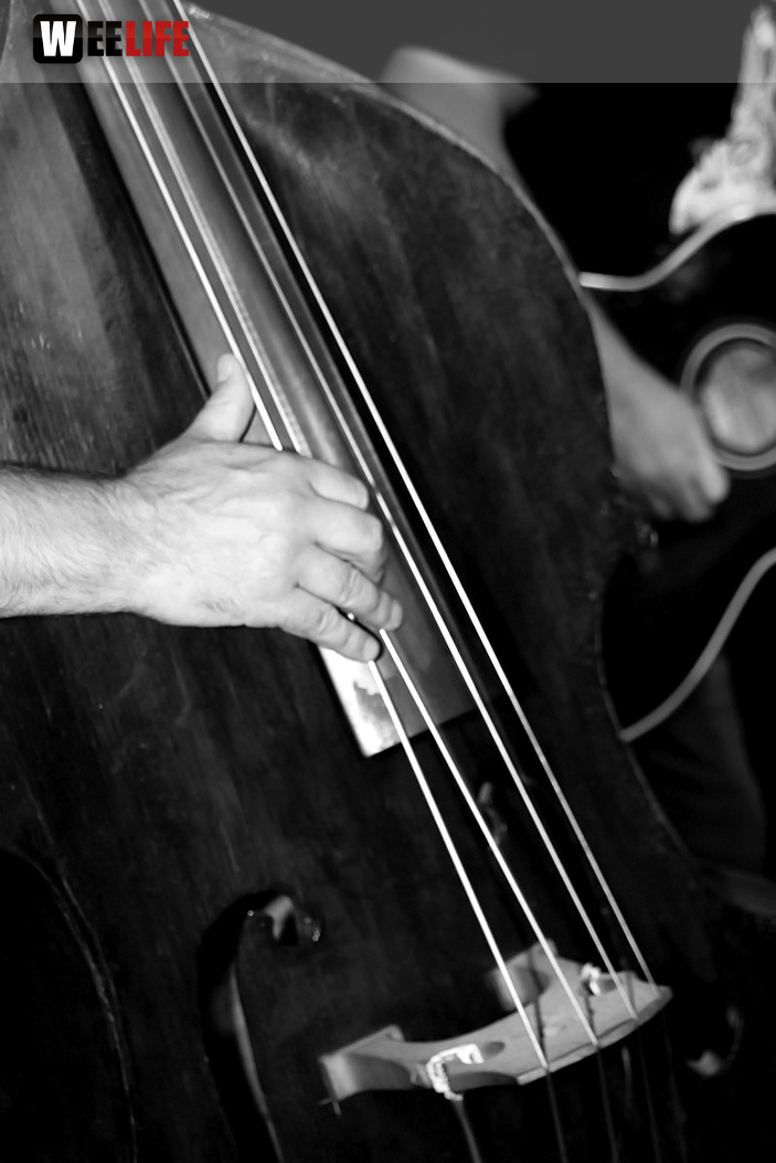 Konzert ScherbekontraBass