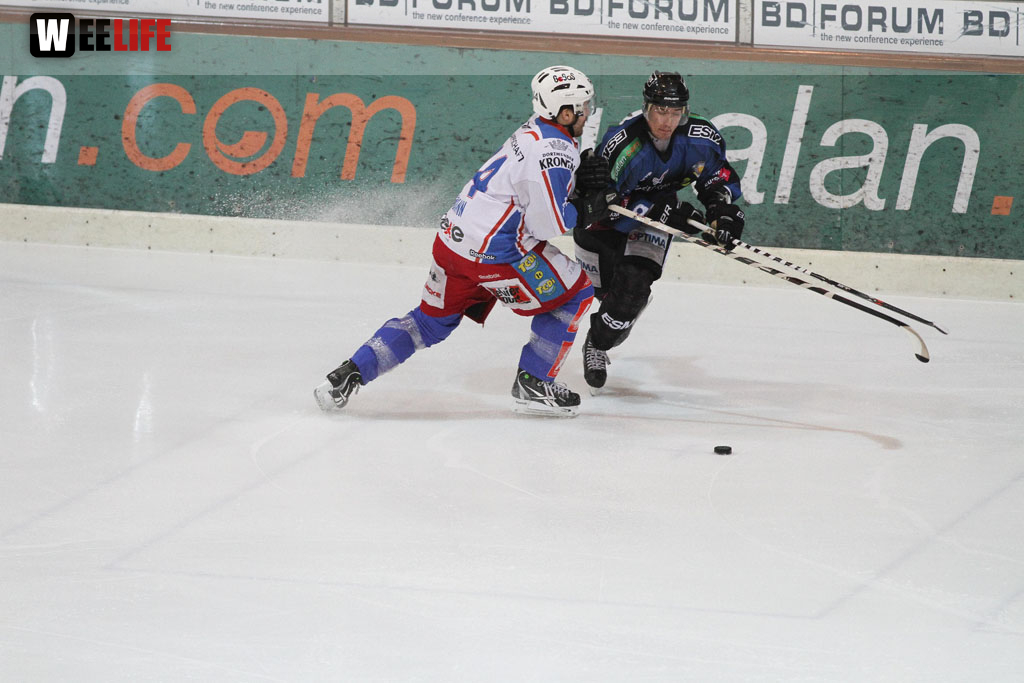 Selber Wölfe - EHC Dortmund