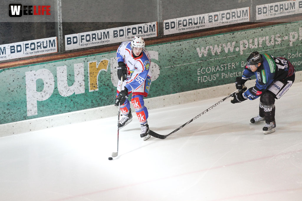 Selber Wölfe - EHC Dortmund