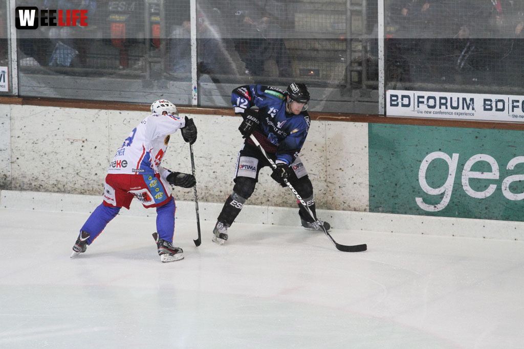 Selber Wölfe - EHC Dortmund