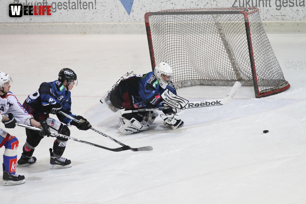 Selber Wölfe - EHC Dortmund