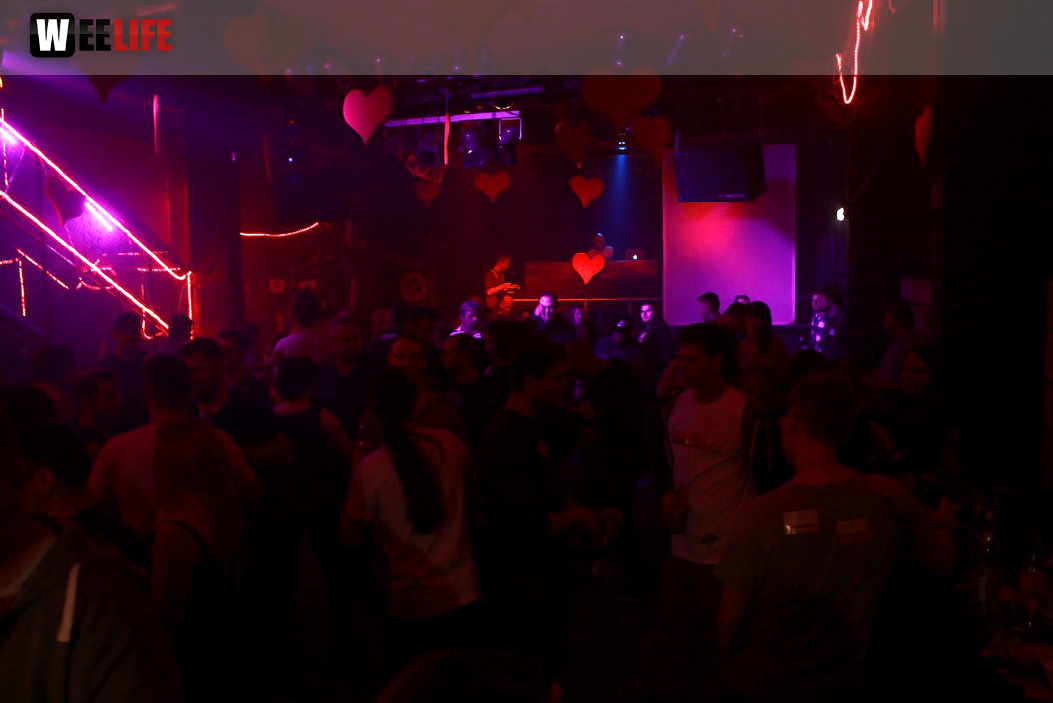 Single Party