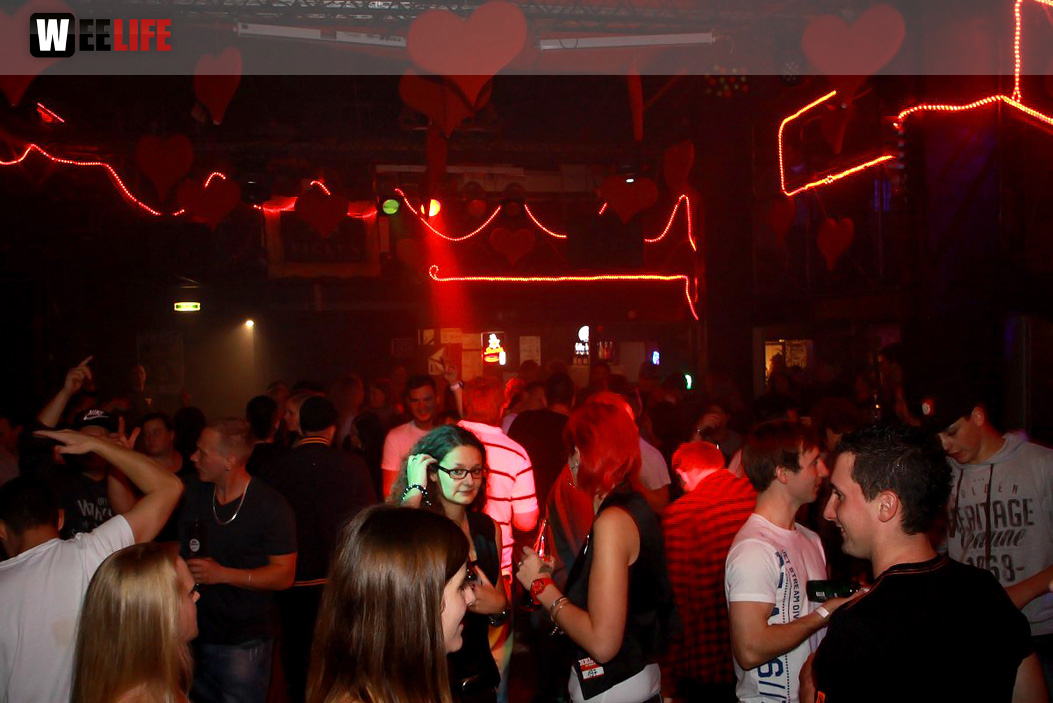 Single Party