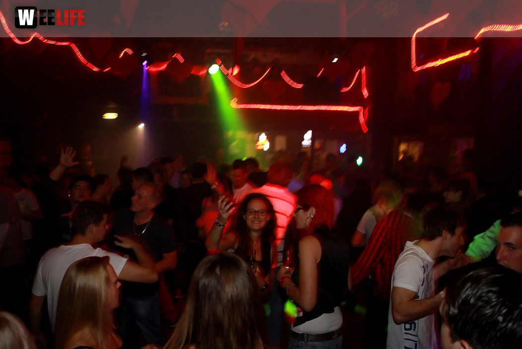 Single Party