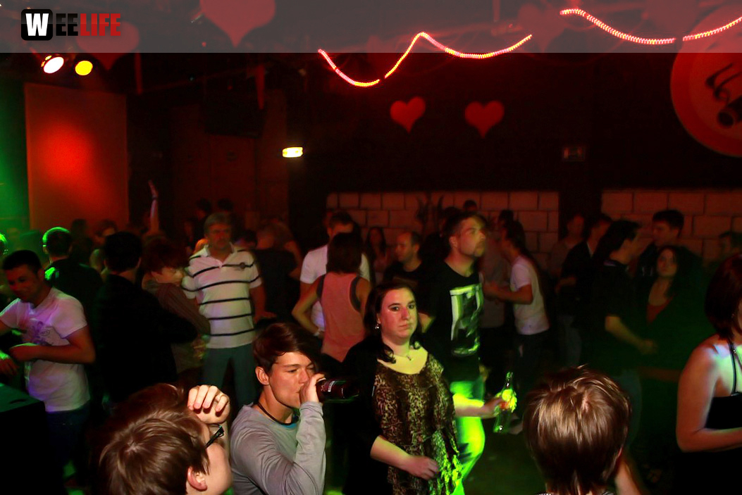 Single Party