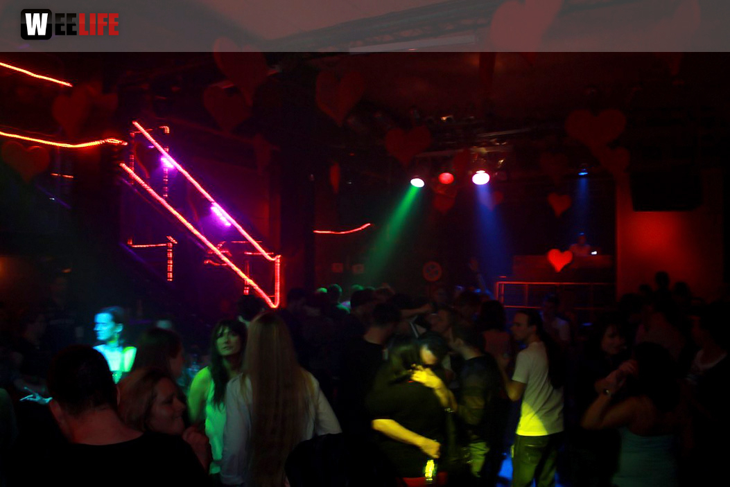 Single Party