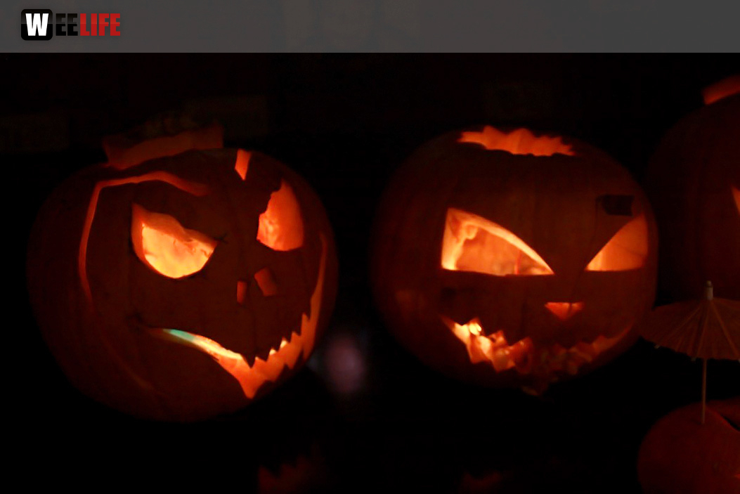 Halloween Party 31.10.2014