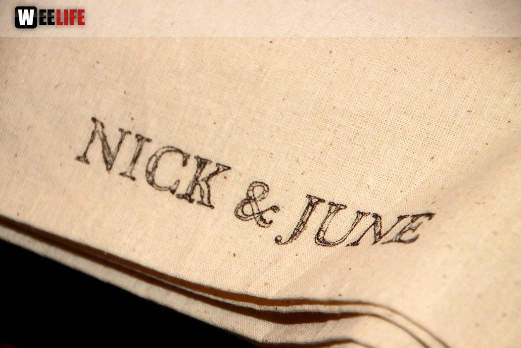 Konzert Nick and June